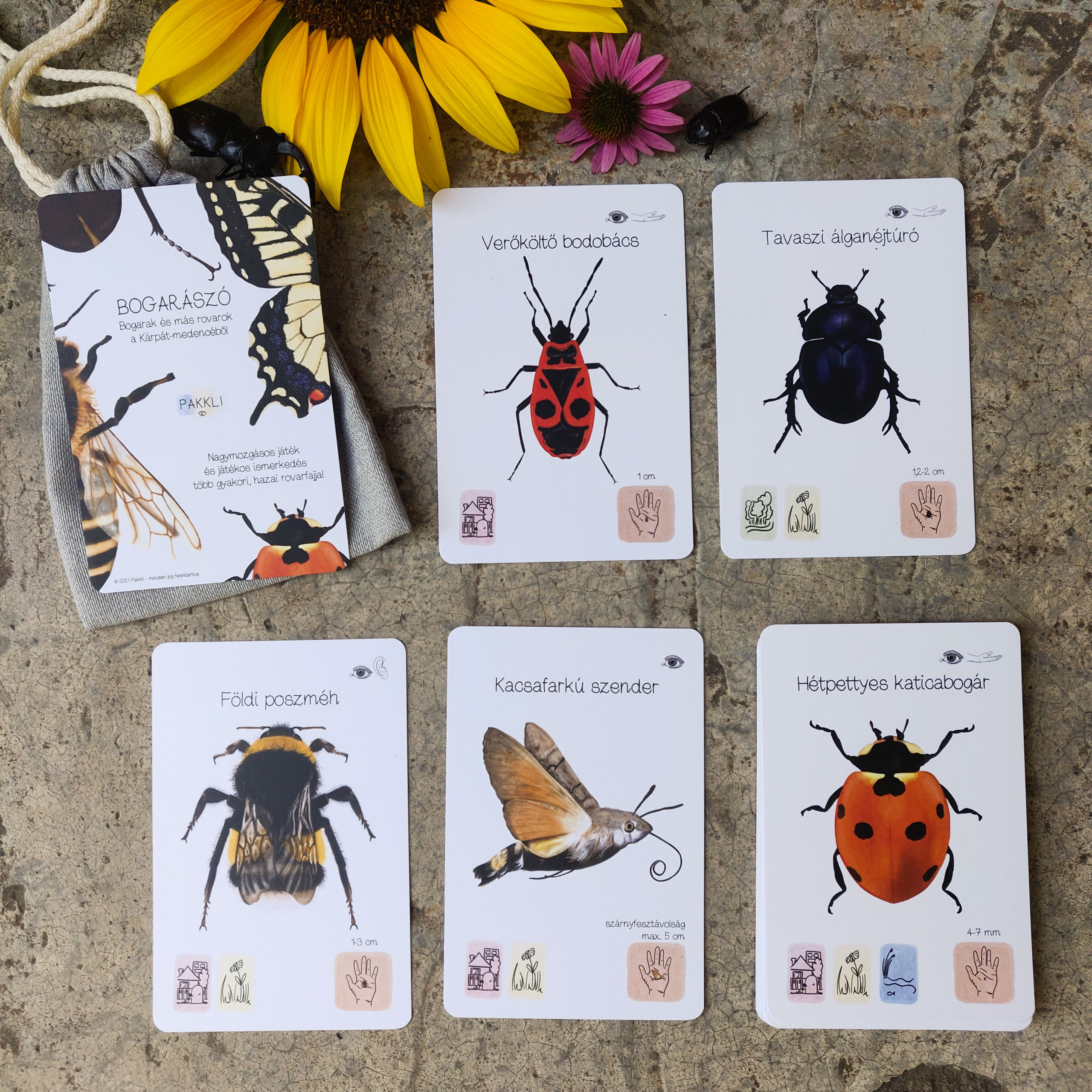 Bogarászó kártyajáték - bogarak kiterített